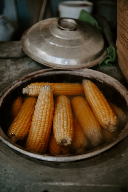 “Unlocking Discounts: Qualifying for Culinary Degree Savings in Slow Cooking & Instant Pot”