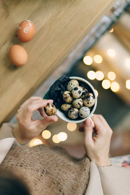 The Complete Guide to Holiday and Seasonal Cooking with Organic Cookware